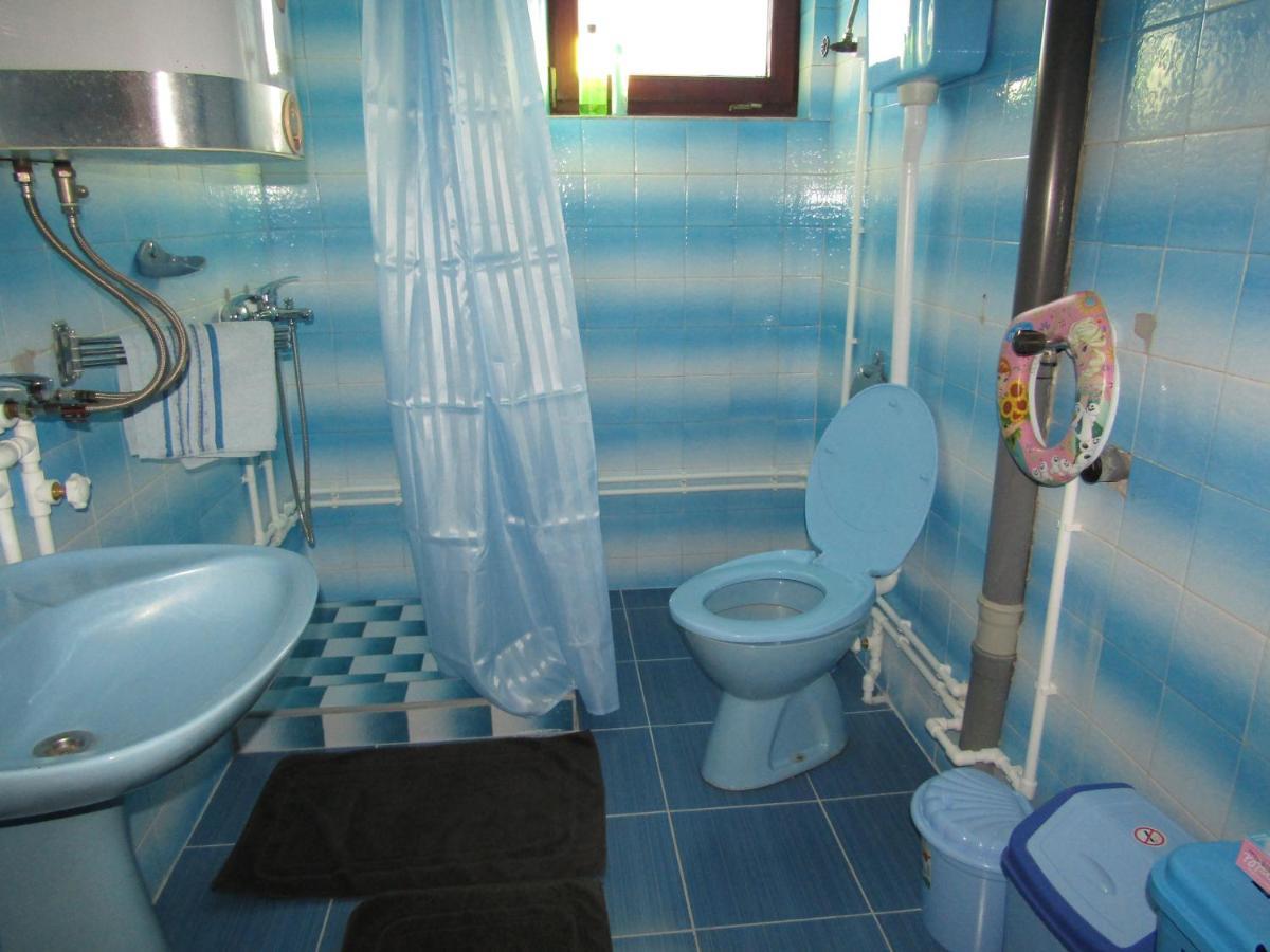 Apartman Milena Kladovo Bagian luar foto
