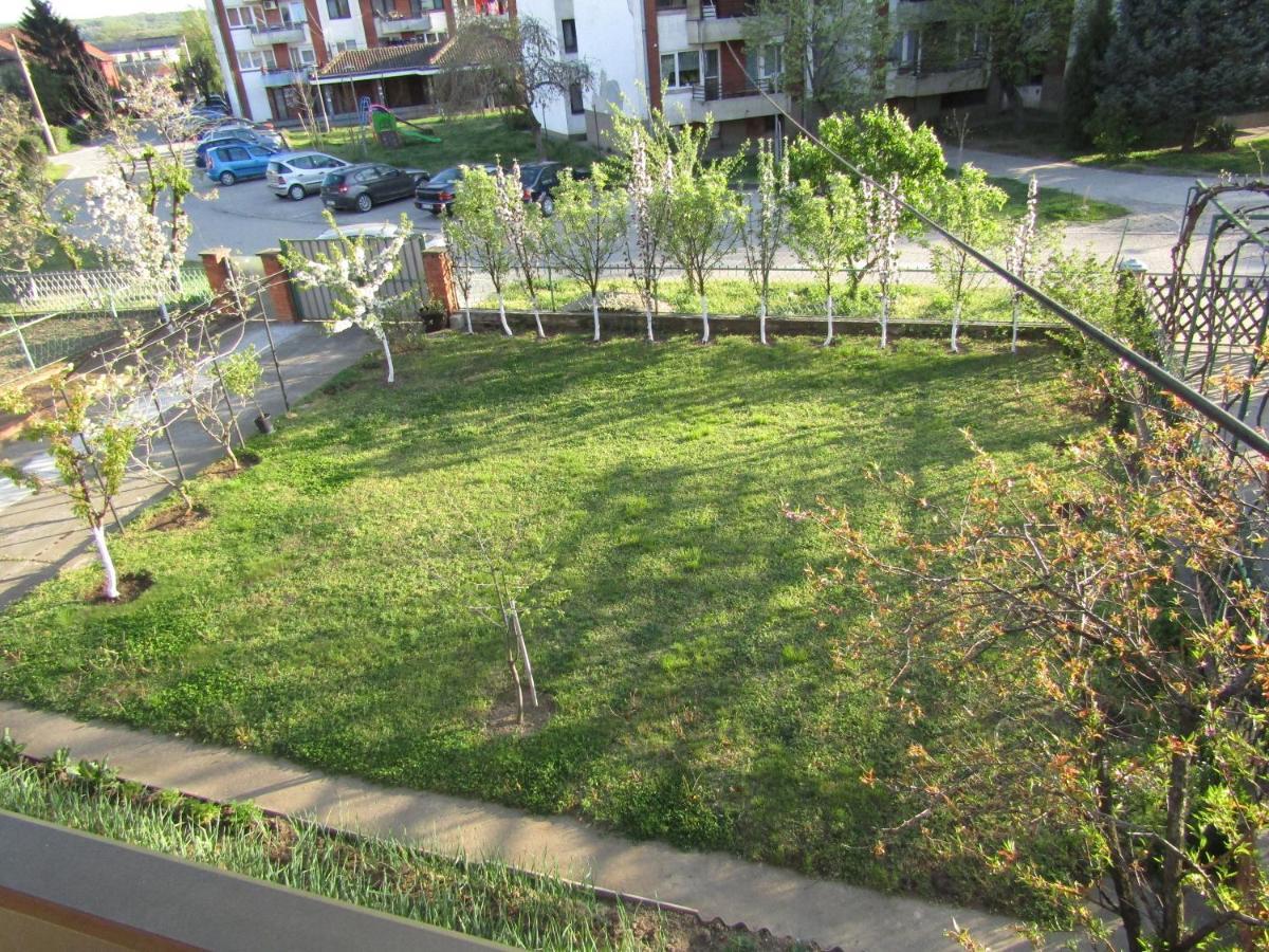 Apartman Milena Kladovo Bagian luar foto